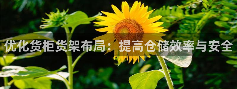 杏运代理