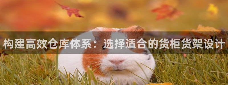 杏运平台代理