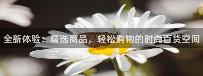杏运登录