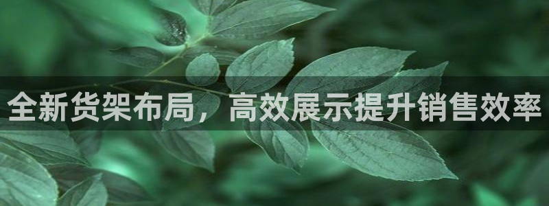 杏运平台注册登录