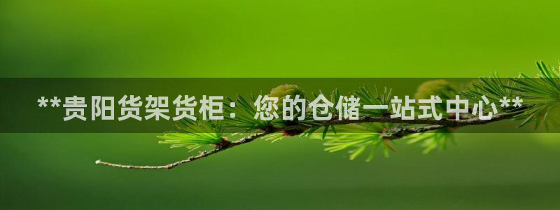 杏运体育官方网址