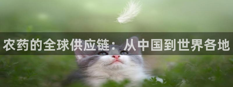 杏运体育