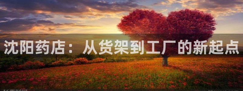 杏运体育app：沈阳药店：从货架到工厂的