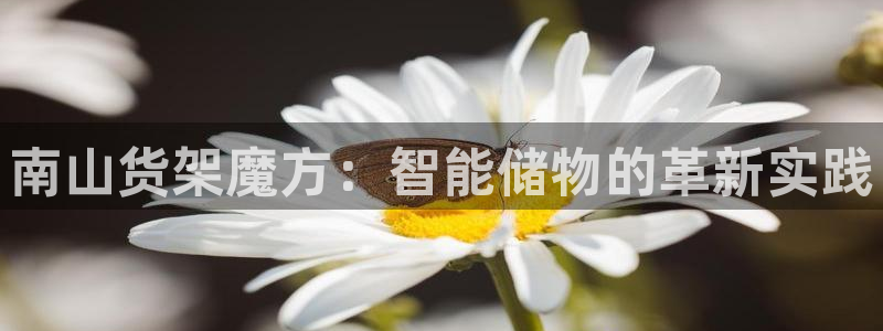 杏运注册账号