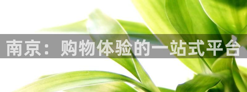 杏运汽车