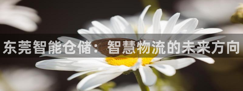 杏运平台招商