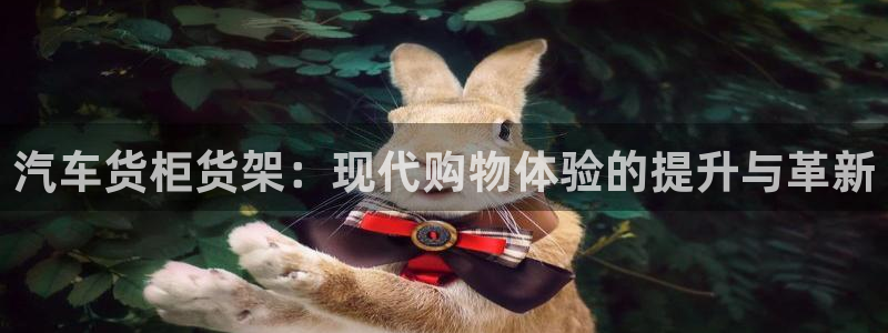 杏运相伴