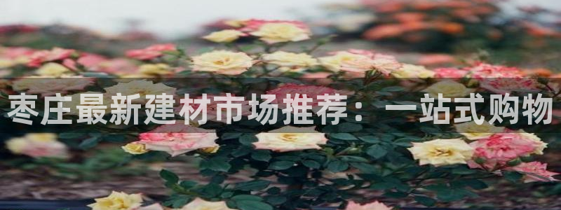 杏运注册