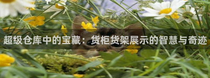 杏运体育平台正规吗安全吗可信吗