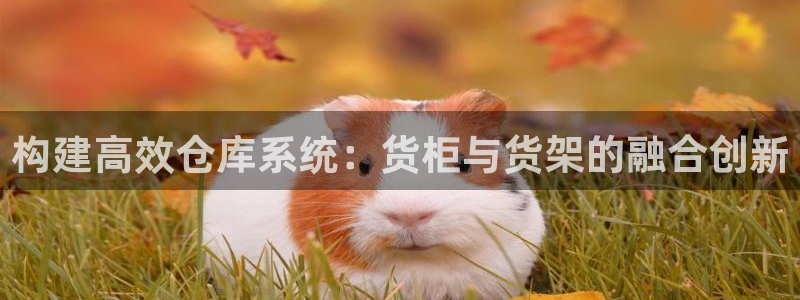 杏运平台注册