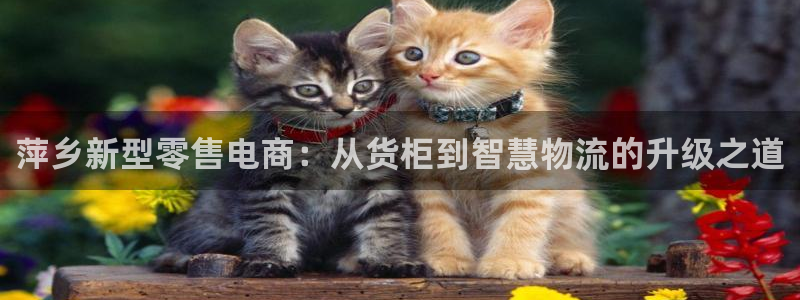 杏运体育娱乐