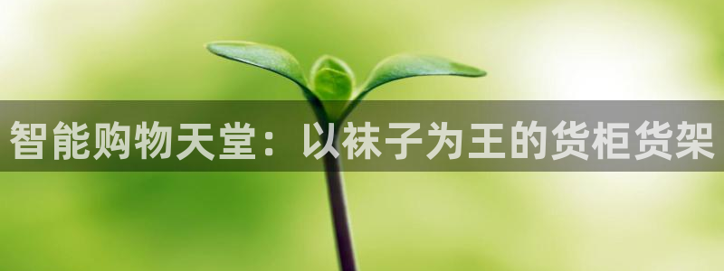 杏运体育注册