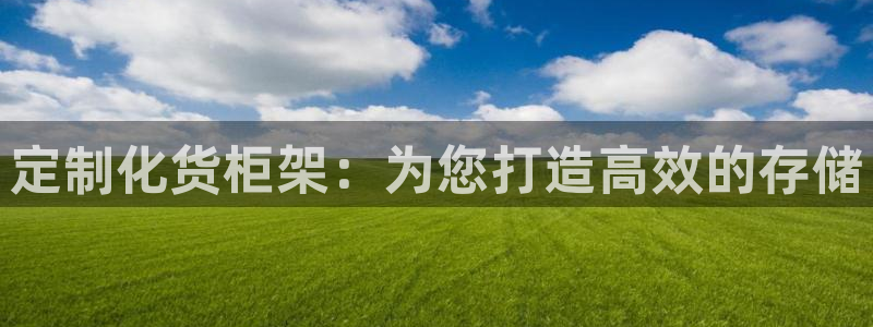 杏运平台登陆：定制化货柜架：为您打造高效