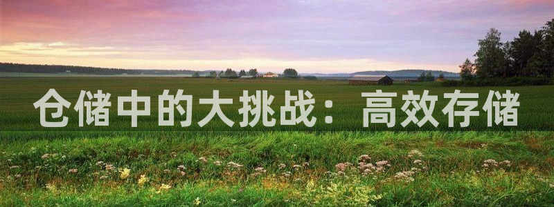 杏运体育怎么样