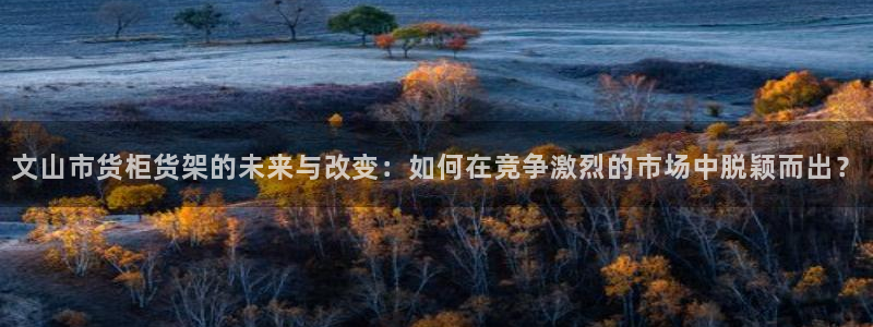 杏运体育平台：文山市货柜货架的未来与改变