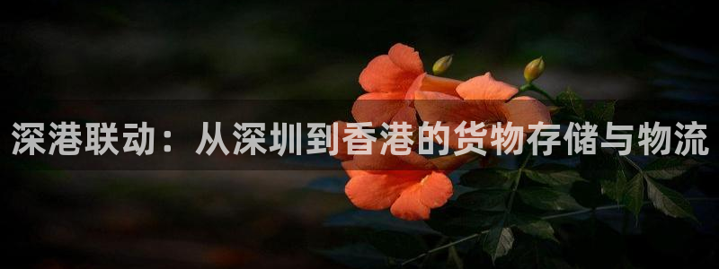 杏运代理