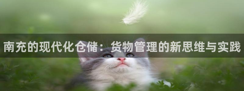 杏运体育app下载安装：南充的现代化仓储