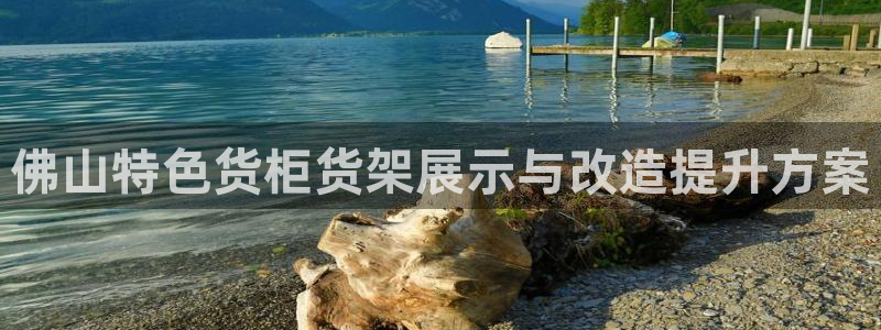 杏运娱乐平台注册地址：佛山特色货柜货架展