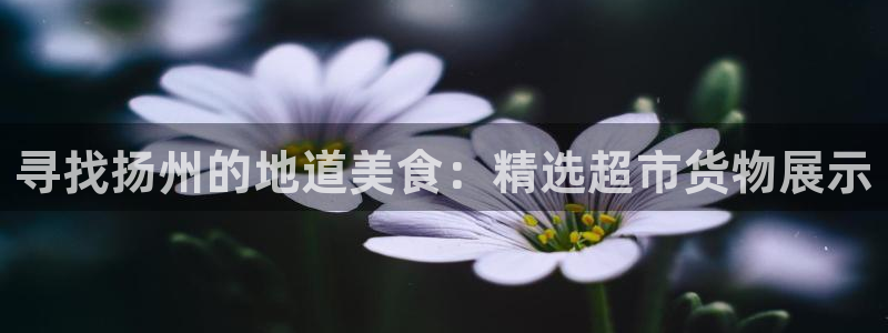 杏运代理