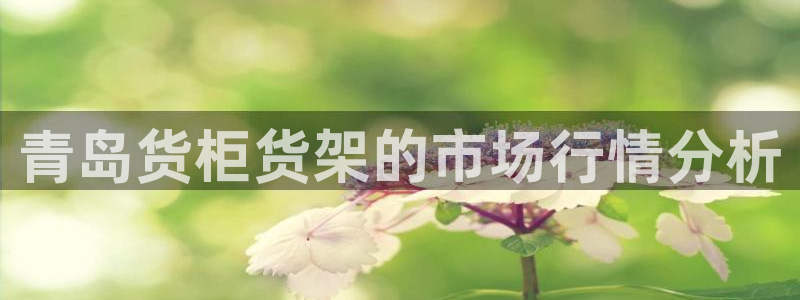 杏运平台招商：青岛货柜货架的市场行情分析