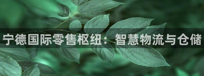 杏运注册账号