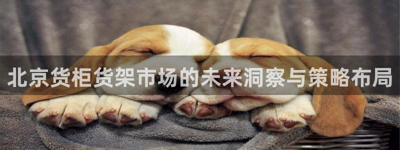 杏运体育平台正规吗安全吗可信吗