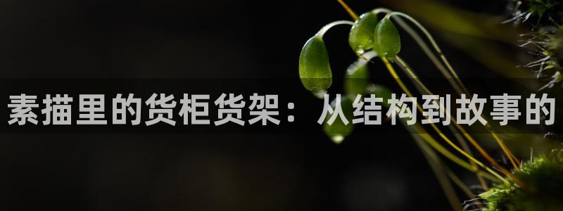 杏运娱乐官网