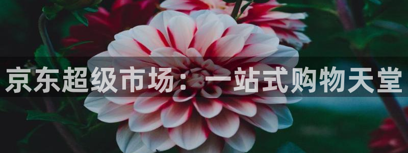 杏运平台注册