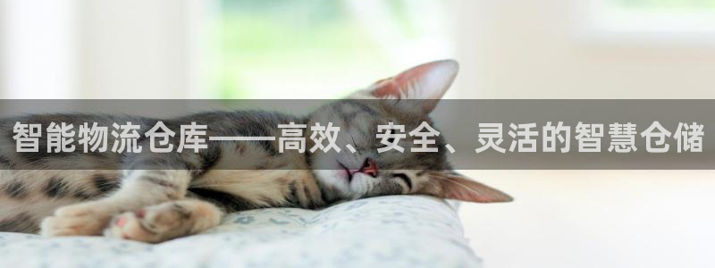 杏运体育官方网址登录：智能物流仓库——高