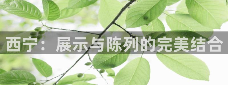 杏运体育怎么样