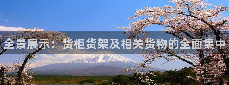 杏运汽车：全景展示：货柜货架及相关货物的