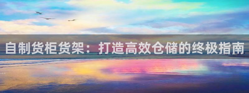 杏运体育平台：自制货柜货架：打造高效仓储